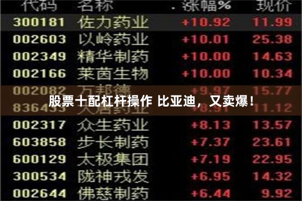 股票十配杠杆操作 比亚迪，又卖爆！